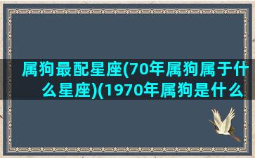 属狗最配星座(70年属狗属于什么星座)(1970年属狗是什么 配)